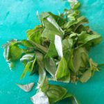 Basilicum blaadjes in stukjes knippen