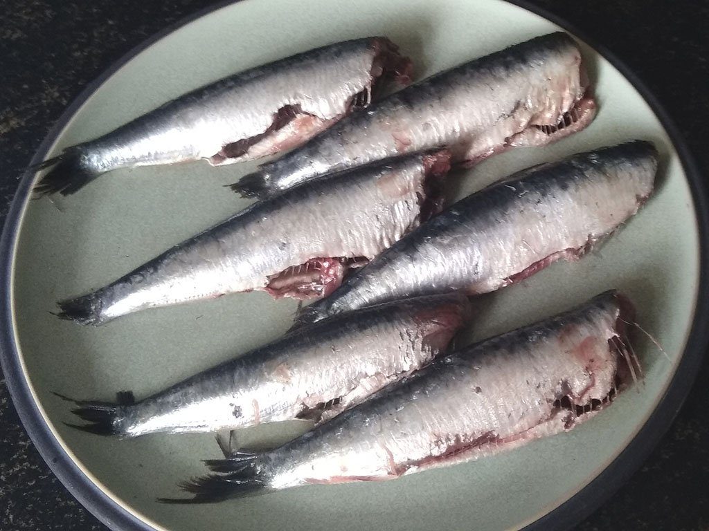 Omega 3: wat is het en waar zit het in? vette vis en Omega 3