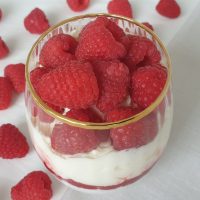 chia frambozenpudding