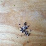Snijplank met geplette peperkorrels