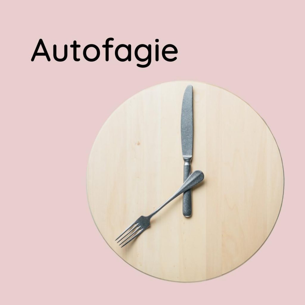 autofagie