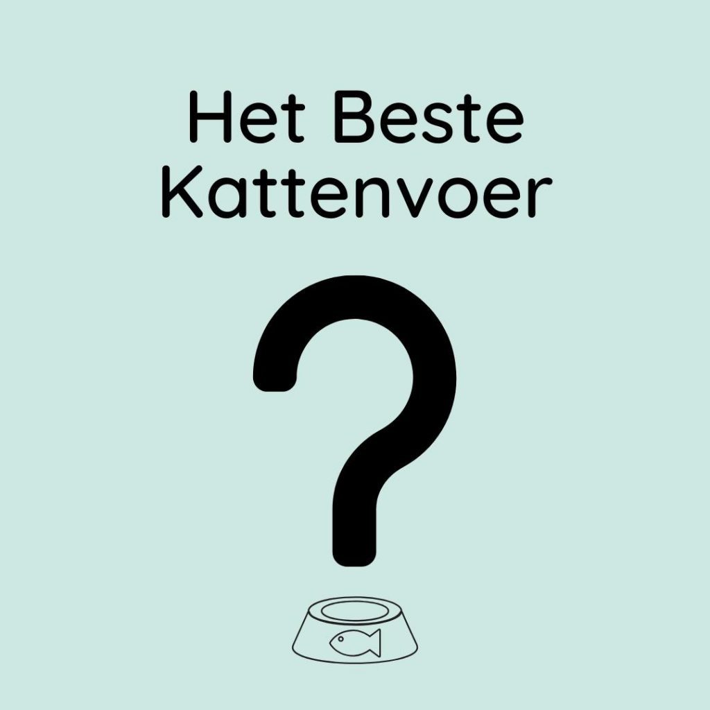 Het beste kattenvoer