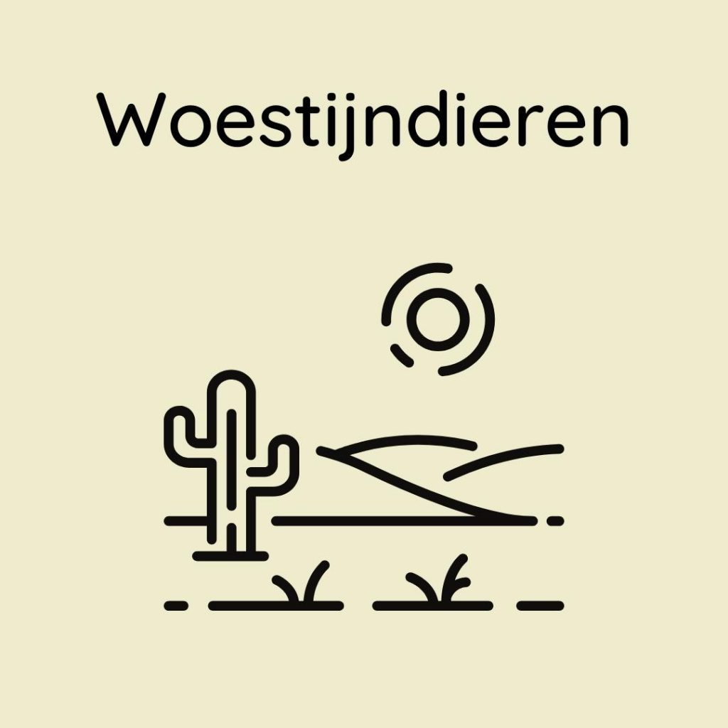 woestijndieren