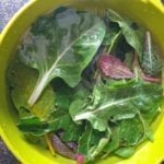 Groene kom met snijbiet in water