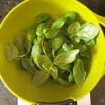 Groene kom met basilicumblaadjes