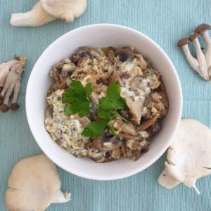 Grote kom met Vegetarische stroganoff en platte peterselie