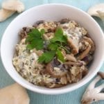 Witte kom met vegetarische stroganoff met platte peterselie