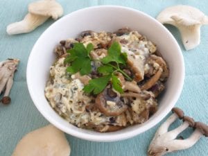 Witte kom met vegetarische stroganoff met platte peterselie