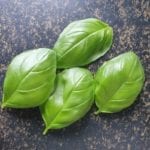 4 blaadjes verse basilicum
