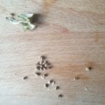 Kardemomzaadjes op houten snijplank