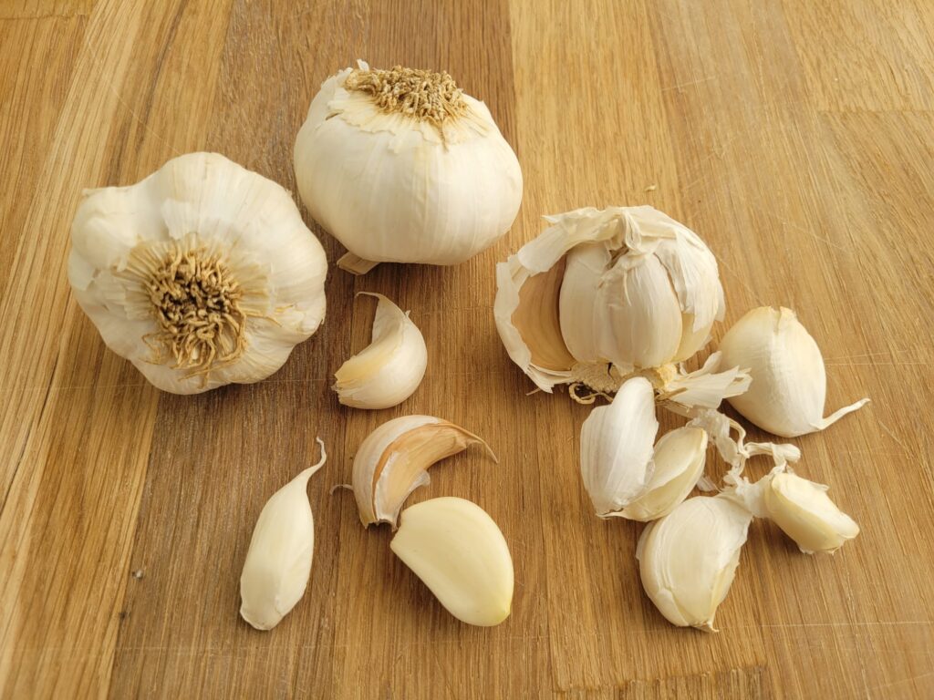 knoflook