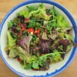 Kleurrijke salade