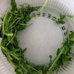 rucola in slacentrifuge