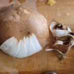 Vegetarische shoarma